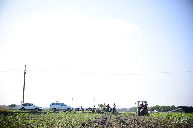 每一次低頭都是向土地致敬！體驗農人們的蕃薯精神_img_8